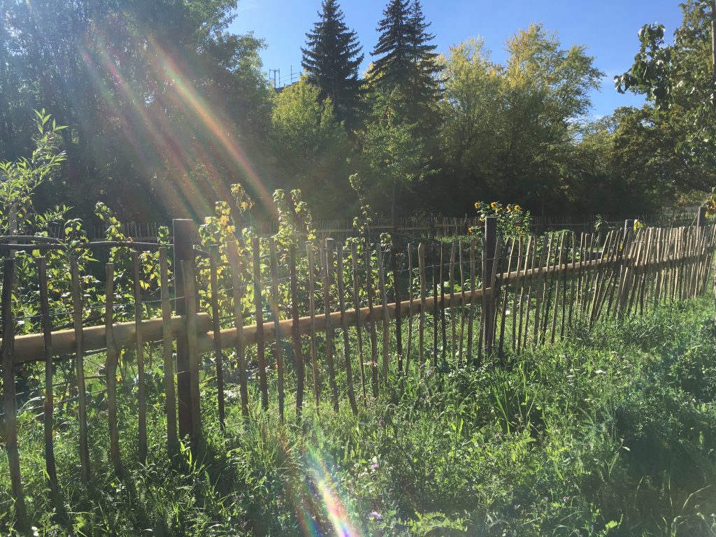 Schönes helles Baugrundstück 876m²